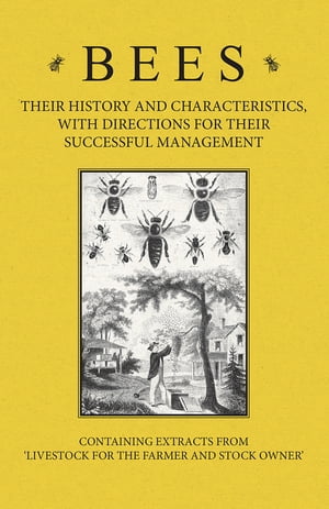 Bees - Their History and Characteristics, With Directions for Their Successful Management - Containing Extracts from Livestock for the Farmer and Stock Owner