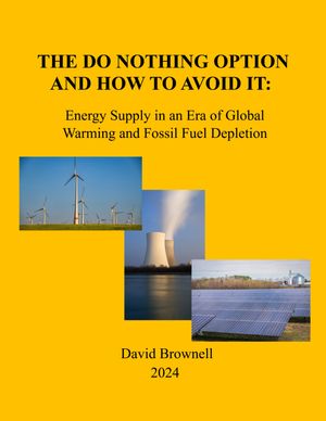 The Do Nothing Option【電子書籍】[ David Brownell ]