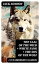 The Call of the Wild + White Fang + The Son of the Wolf (3 Unabridged Classics)