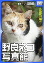 野良ネコ写真館【多摩川編】【電子書籍】