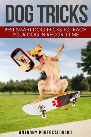 Dog Tricks: Best Smart Dog Tricks to Teach Your Dog in Record Time