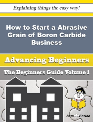 How to Start a Abrasive Grain of Boron Carbide Business (Beginners Guide)