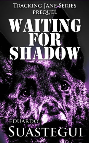 Waiting for Shadow