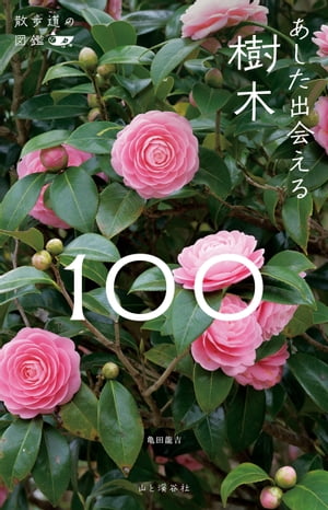 散歩道の図鑑 あした出会える樹木100【電子書籍】[ 亀田 龍吉 ]