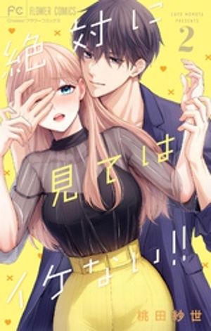 絶対に見てはイケない！！ 第2巻の表紙画像