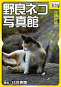 野良ネコ写真館【湾岸編】【電子書籍】
