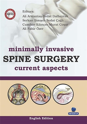 Minimally Invasive Spine Surgery Current Aspects