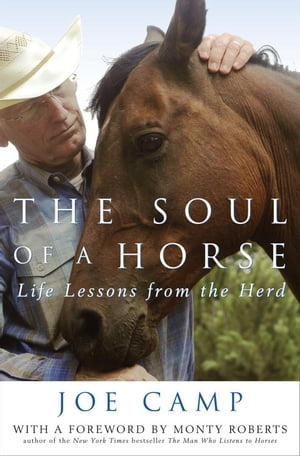 The Soul of a Horse