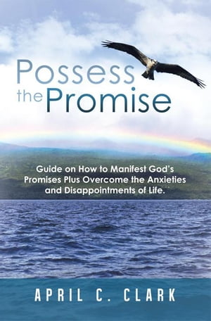 Possess the Promise Guide on How to Manifest God’S Promises Plus Overcome the Anxieties and Disappointments of Life.