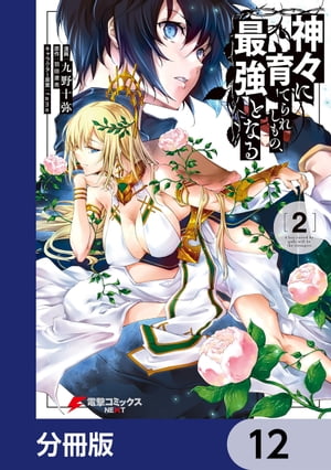 神々に育てられしもの、最強となる【分冊版】　12