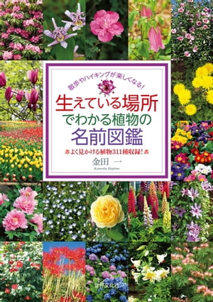 生えている場所でわかる植物の名前図鑑