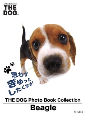 THE DOG Photo Book Collection Beagle