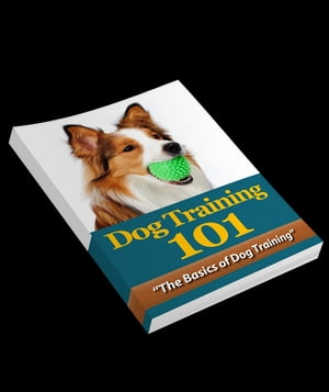 Dog Training 101