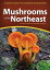 Mushrooms of the Northeast