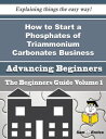 ŷKoboŻҽҥȥ㤨How to Start a Phosphates of Triammonium Carbonates Business (Beginners Guide How to Start a Phosphates of Triammonium Carbonates Business (Beginners GuideŻҽҡ[ Refugio Chacon ]פβǤʤ616ߤˤʤޤ