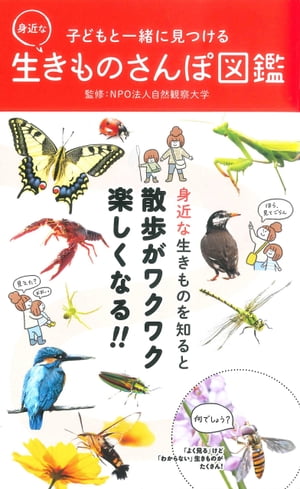 ＜p＞子どもとのさんぽで出会う身近にいる虫・鳥・水辺の生きものを集めた『くさばなさんぽ図鑑』の身近な生きもの編。見つけやすい場所や探し方・捕まえ型（つかみ方）、飼育の仕方、毒性のありなし（危険度）、おもしろい習性などをイラストや図解、マップなども多用して見やすく掲載しています。おうち時間のお供にぴったりの1冊です。＜/p＞画面が切り替わりますので、しばらくお待ち下さい。 ※ご購入は、楽天kobo商品ページからお願いします。※切り替わらない場合は、こちら をクリックして下さい。 ※このページからは注文できません。