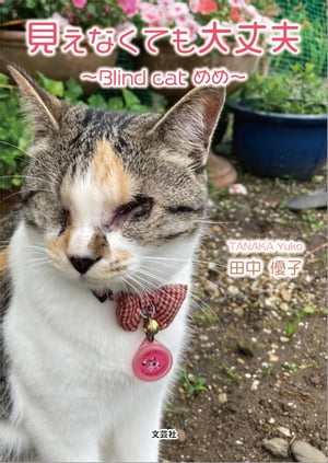 見えなくても大丈夫 〜Blind cat めめ〜