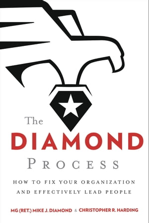 The Diamond Process How to Fix Your Organization