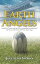 Earth Angels A True Story of Heroism in the Face of TragedyŻҽҡ[ Joey Lynn Sarkees ]