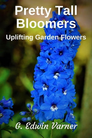 Pretty Tall Bloomers: Uplifting Garden Flowers