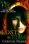 Lost In Time A Fallen NovelŻҽҡ[ Christie Palmer ]