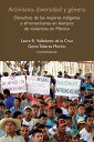 Activismo, diversidad y g?nero Derechos de las mujeres ind?genas y afromexicanas en tiempos de violencias en M?xico