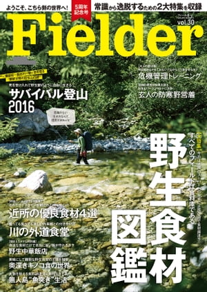 Fielder vol.30