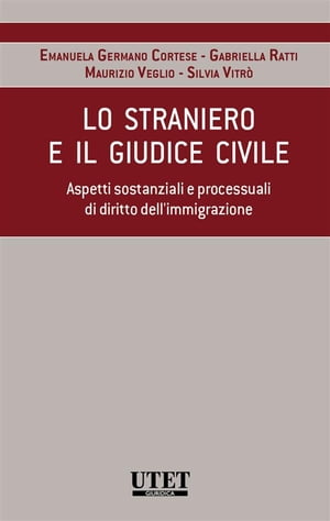 Lo straniero e il giudice civile. Aspetti sostanzali e processuali di diritto dell'immigrazione