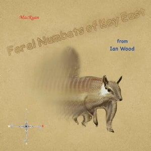 Feral Numbats of Key East