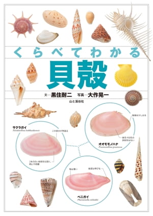 くらべてわかる貝殻【電子書籍】[ 黒住 耐二 ]のサムネイル