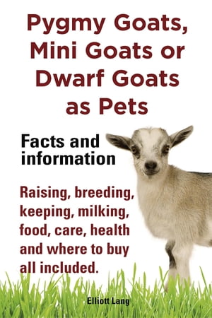 Pygmy Goats as Pets. Pygmy Goats, Mini Goats or Dwarf Goats