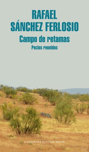 Campo de retamas