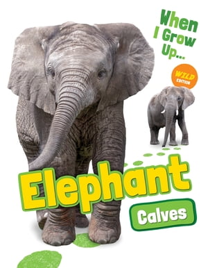 Elephant CalvesŻҽҡ[ Emmie Chang ]
