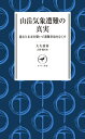 ヤマケイ新書 山岳気象遭難の真実 過去と未来を繋いで遭難事故をなくす【電子書籍】 大矢 康裕