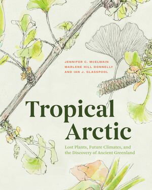 Tropical Arctic