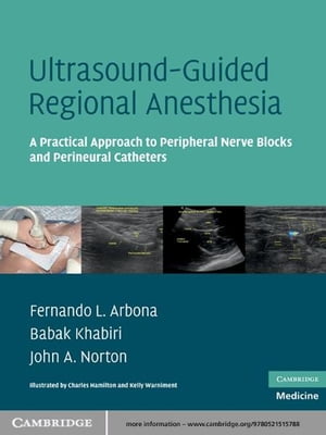 Ultrasound-Guided Regional Anesthesia