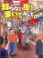 全っっっっっ然知らない街を歩いてみたものの