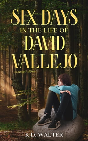 Six Days in the Life of David Vallejo