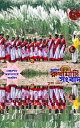 ??????? ???????? ???????? ????? - ??????? ??? ?????????? ????????? 2021 Purulia rukhamati Sangbad 2021 - Boiraag【電子書籍】