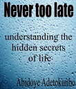 Never too late understanding the hidden secrets of life【電子書籍】[ Adetokunbo Abidoye ]