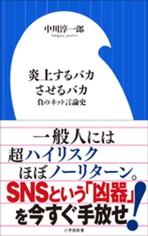 炎上するバカさせるバカ　～負のネット言論史～（小学館新書）