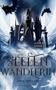 Die letzte Seelenwandlerin - Dark Kingdom Band 2 der Urban Fantasy Trilogie zwischen den Himmeln