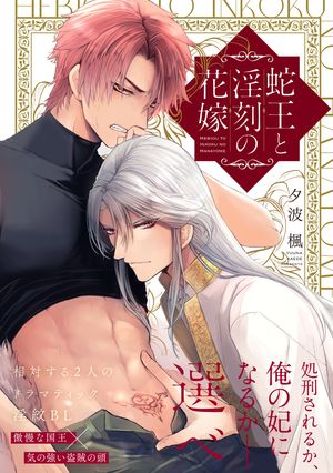 蛇王と淫刻の花嫁【電子限定漫画付き】