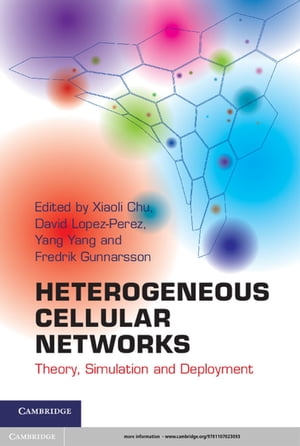 Heterogeneous Cellular Networks