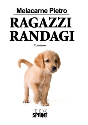 Ragazzi randagi【電子書籍】[ Pietro Melacarne ]