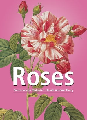 Roses【電子書籍】[ Pierre-Joseph Redout? ]