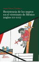 Resistencia de los negros en el virreinato de M?