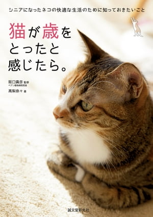 猫が歳をとったと感じたら。