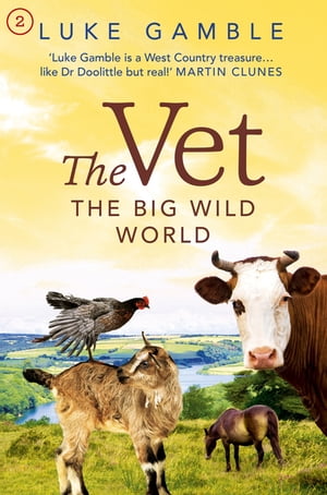The Vet 2: the big wild world