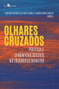 OLHARES CRUZADOS POL?TICA E DIN?MICAS SOCIAIS NO TRI?NGULO MINEIRO